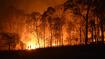 Cryptocurrency mining and trading devastating the planet