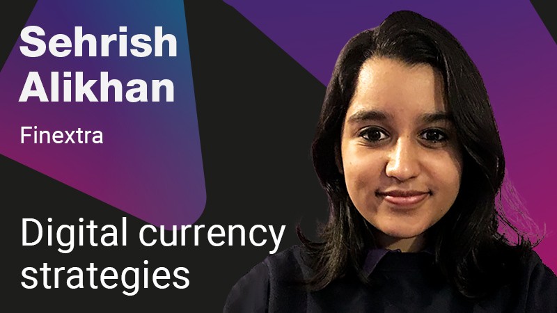 Digital currency strategies and their consumer potential