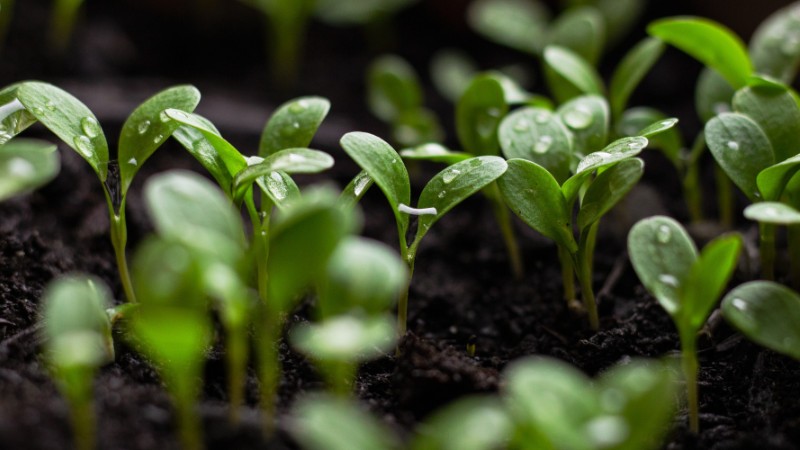 Environmental frameworks shaping a decade of change for sustainable finance